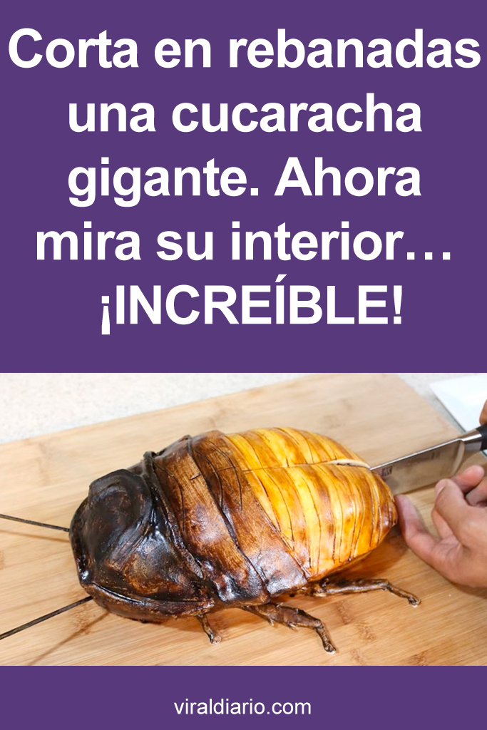 Corta en rebanadas una cucaracha gigante. Ahora mira su interior... ¡INCREÍBLE!