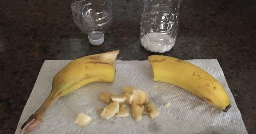 Corta un plátano y pone los trozos en una botella de agua por una razón GENIAL
