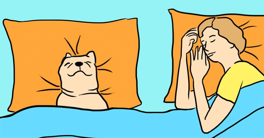 7 sorprendentes razones por las que tu perro debe dormir en tu cama todas las noches