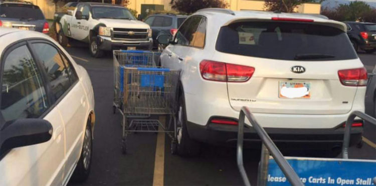 Unos extraños se vengan ASÍ, cuando un conductor bloqueó los carritos de la compra con su coche