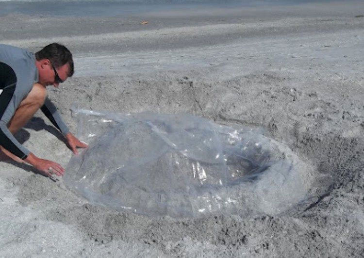 Aquí está la razón por la que debes llevar una cortina de ducha la próxima vez que vayas a la playa