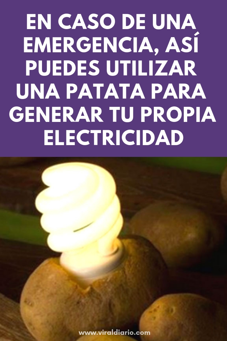 En caso de una emergencia, así puedes utilizar una patata para generar tu propia electricidad