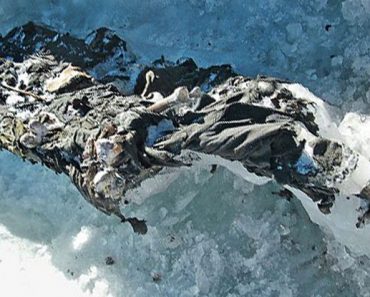 Estaban de excursión en un glaciar derretido, y lo que encontraron les hizo sentir escalofríos 1 Estaban de excursión en un glaciar derretido, y lo que encontraron les hizo sentir escalofríos
