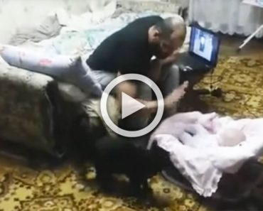 Un hombre golpea la cuna del bebé, ahora mira lo que hace el gato...