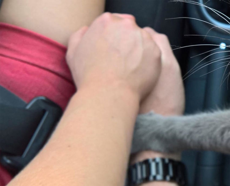 Este gato reconforta a sus dueños, con el corazón roto, en el viaje final al veterinario