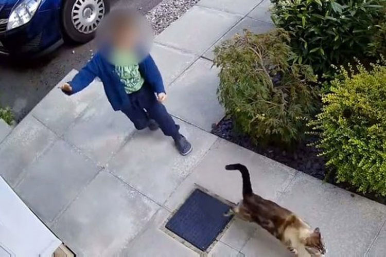 Cámaras de seguridad capturan a un niño de 5 años haciendo lo impensable a su gato