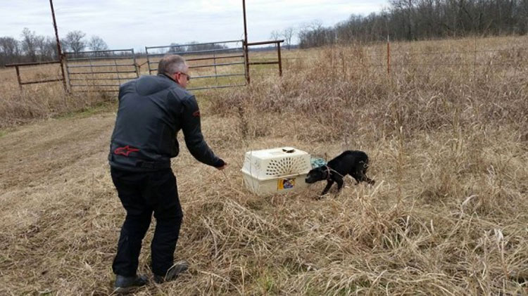 Este motorista hace un descubrimiento sorprendente en una caja tirada al lado de una carretera