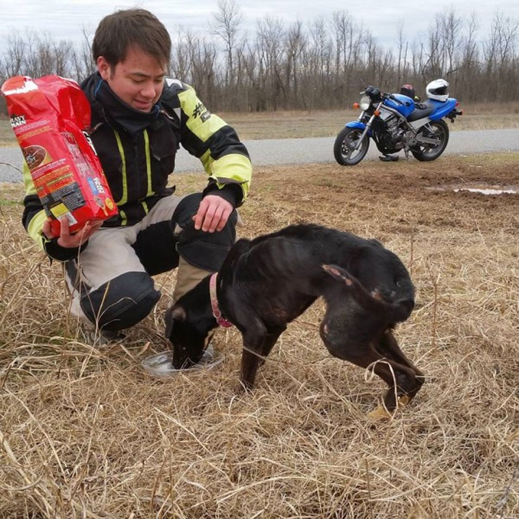 Este motorista hace un descubrimiento sorprendente en una caja tirada al lado de una carretera