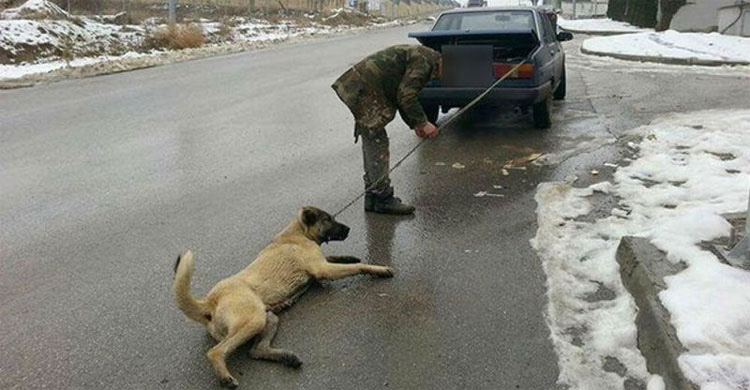 Este hombre fue filmado arrastrando a su perro detrás de su coche para "estirar sus extremidades"