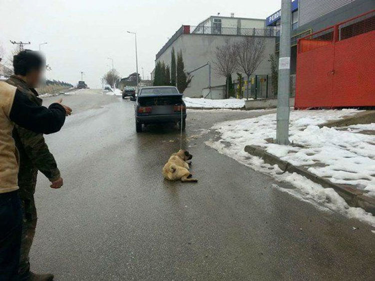 Este hombre fue filmado arrastrando a su perro detrás de su coche para "estirar sus extremidades"