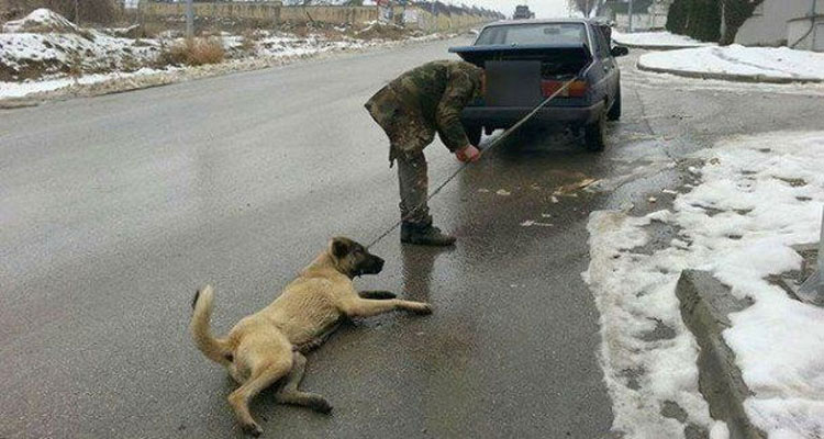 Este hombre fue filmado arrastrando a su perro detrás de su coche para "estirar sus extremidades"