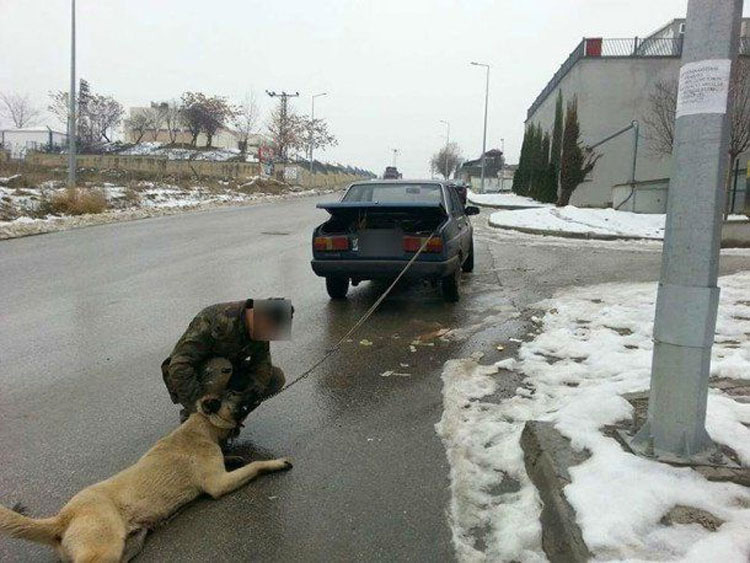 Este hombre fue filmado arrastrando a su perro detrás de su coche para "estirar sus extremidades"