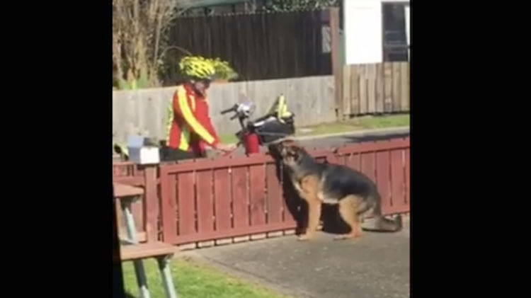 Pone una cámara oculta y captura al cartero haciendo esto a su 'peligroso' perro