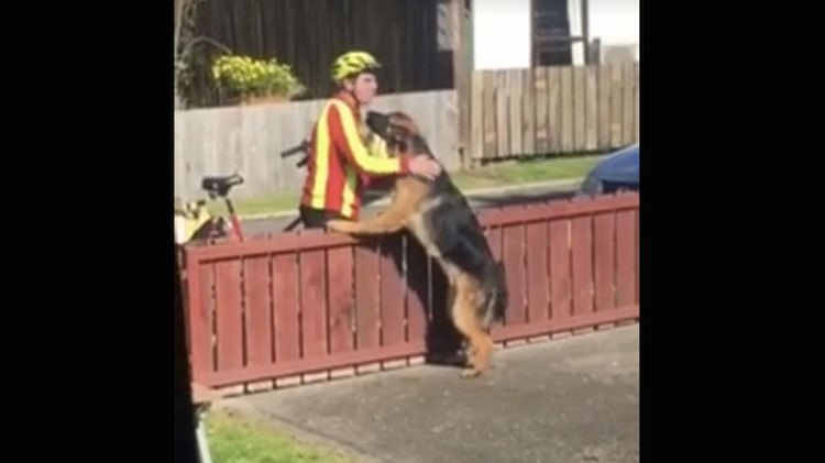 Pone una cámara oculta y captura al cartero haciendo esto a su 'peligroso' perro