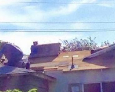 Un post de Facebook de un hombre sobre su vecino anciano se hace inesperadamente viral 1 El post de Facebook de un hombre sobre su vecino anciano se hace inesperadamente viral
