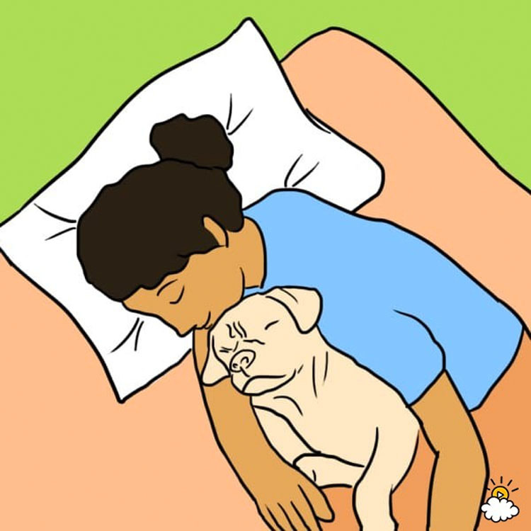 7 sorprendentes razones por las que tu perro debe dormir en tu cama todas las noches