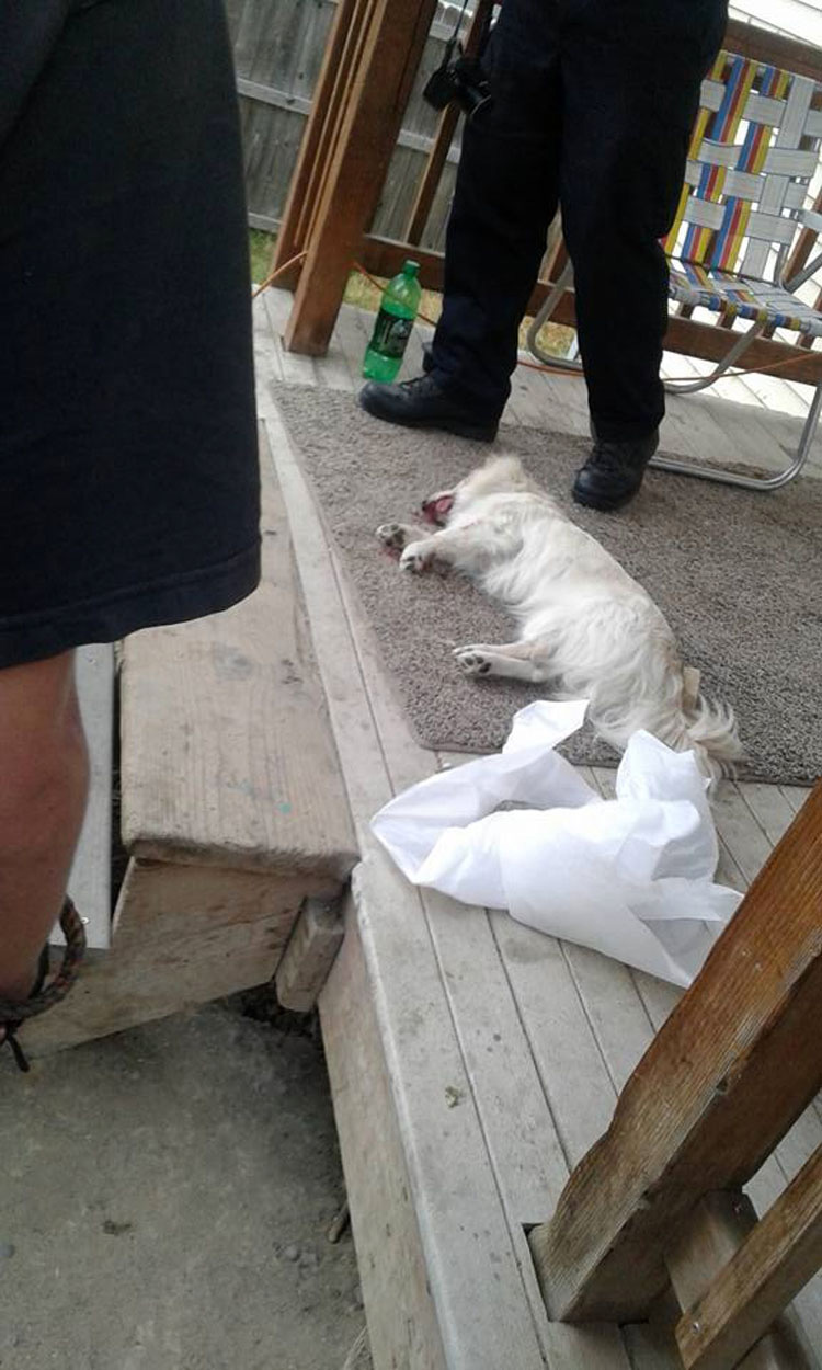 Este monstruo mató a su perro. ¿Y cuál es la sentencia que pone el juez como castigo? ¡Indignante!