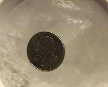 Antes de evacuar durante un huracán, metió una moneda en una taza de hielo y la puso en el congelador