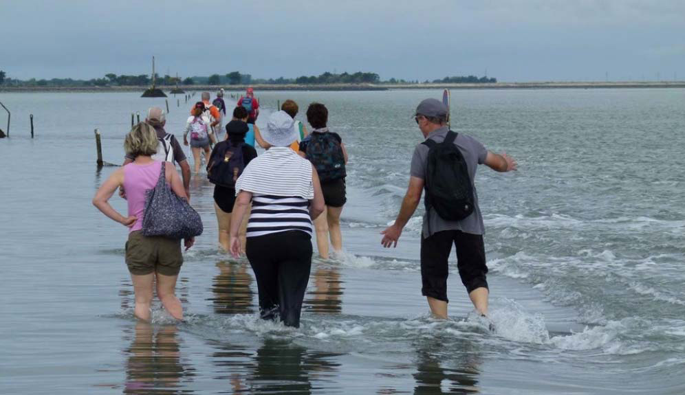 Passage du Gois es una carretera tan loca que desaparece bajo el agua 2 veces al día