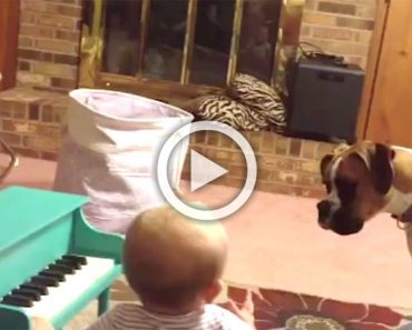 Papá sorprende al perro de la familia cantando a dúo con el bebé y su video se hace viral