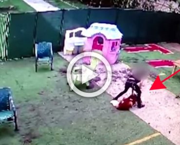 El perro de este vídeo tuvo que ser sacrificado tras el maltrato por parte de un empleado