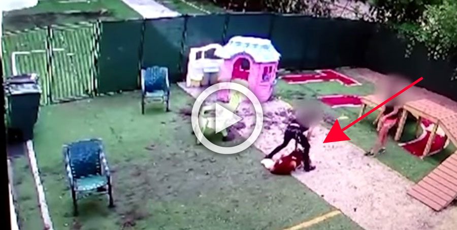 El perro de este vídeo tuvo que ser sacrificado tras el maltrato por parte de un empleado
