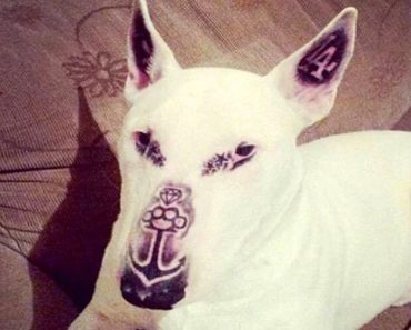 Este hombre está acusado de maltrato animal por tatuar dolorosamente a su propio perro