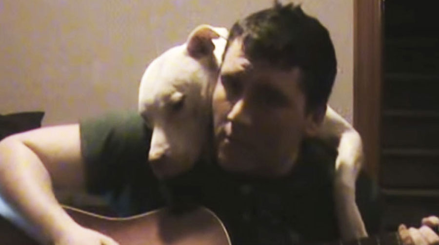 Canta a su Pitbull una canción original, y su perro reacciona de la manera más dulce imaginada