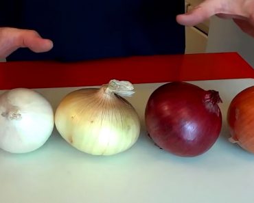 La mayoría de la gente cocina las cebollas de forma errónea, este chef explica qué hacer con cada una 1 La mayoría de la gente cocina las cebollas de forma errónea, este chef explica qué hacer con cada una