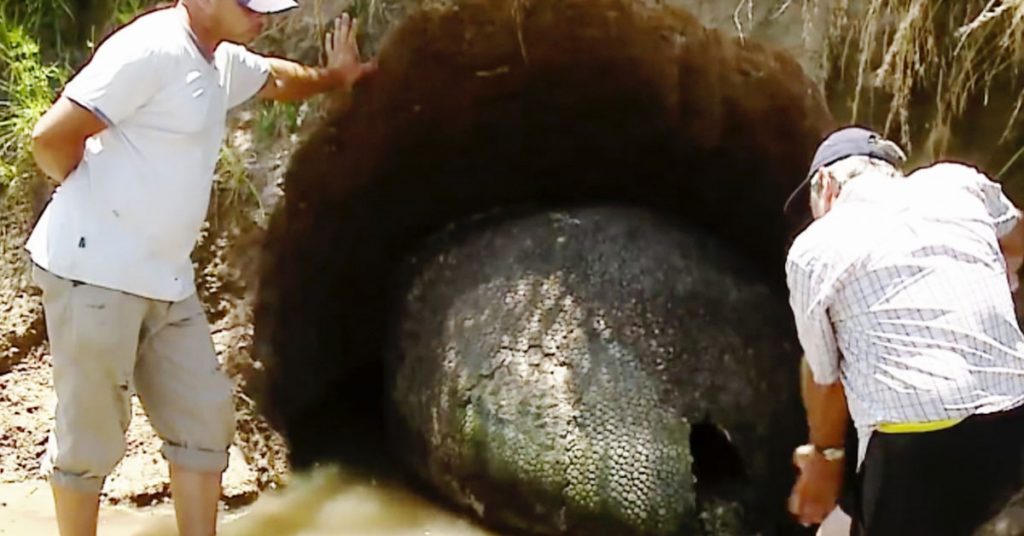 Este granjero encontró un enorme "huevo de dinosaurio", pero descubrió que era algo más raro