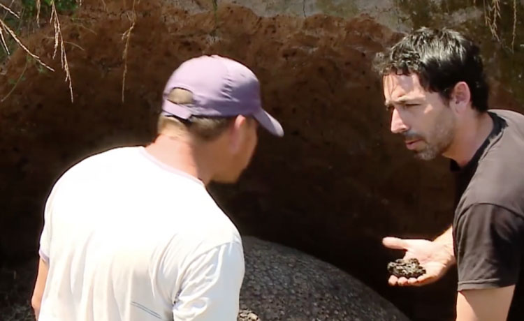 Este granjero encontró un enorme "huevo de dinosaurio", pero descubrió que era algo más raro