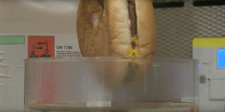 Este experimento de la hamburguesa ha conmocionado a millones de fans de McDonald's en todo el mundo