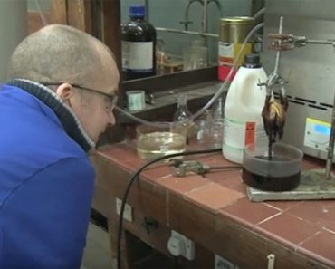 Este experimento de la hamburguesa ha conmocionado a millones de fans de McDonald's en todo el mundo 1 Este experimento de la hamburguesa ha conmocionado a millones de fans de McDonald's en todo el mundo