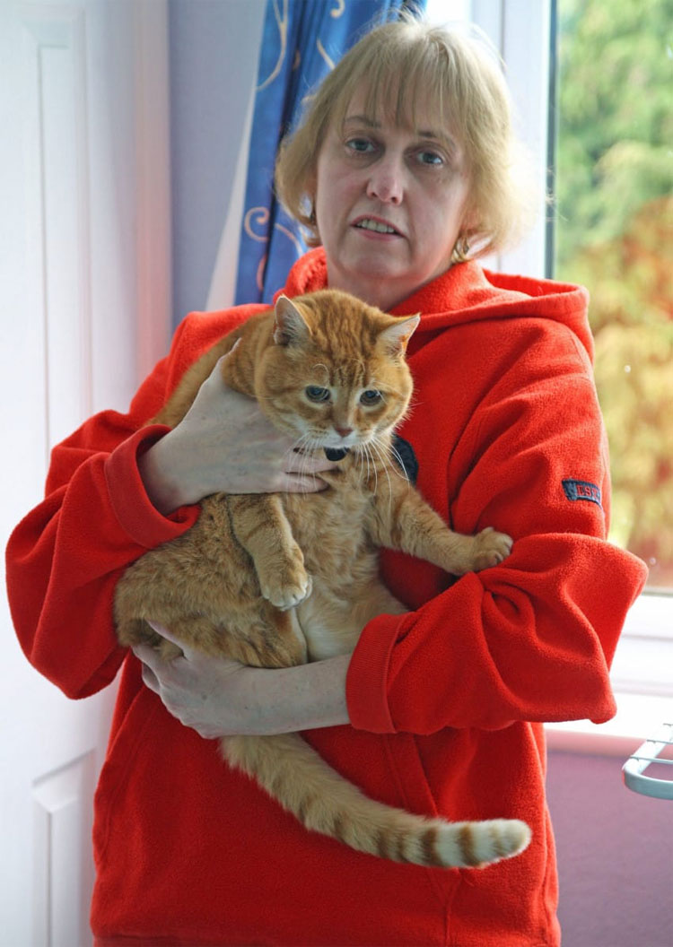 Su gato se tumbaba sobre su estómago. Hasta que los médicos descubrieron que tenía cáncer