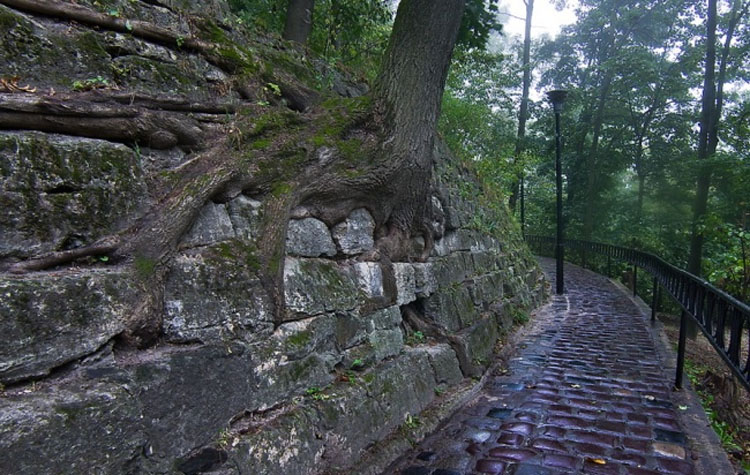 13 fotos que muestran las increíbles maneras en que la humanidad ha respetado la naturaleza