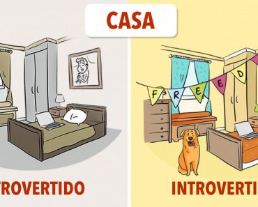 8 ilustraciones que muestran cómo los introvertidos y los extrovertidos ven el mundo