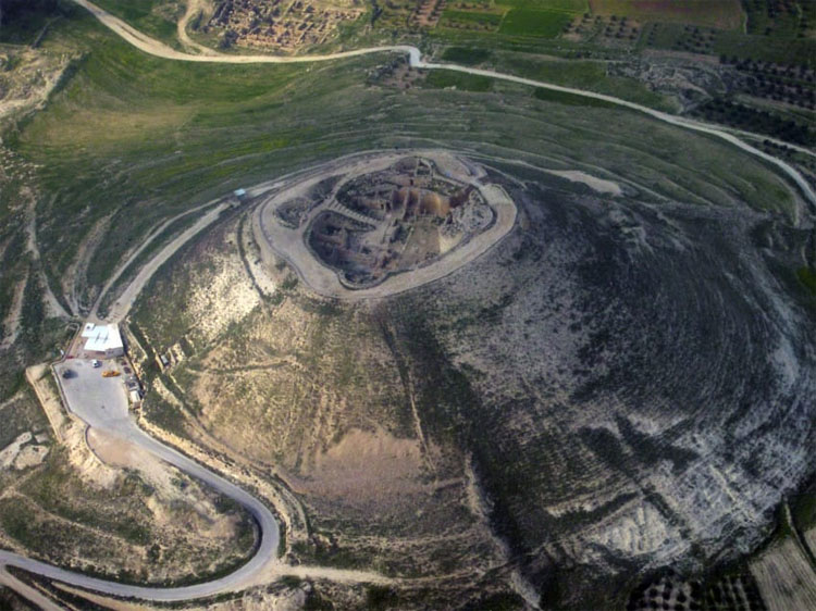 La ciencia está aturdida al ver crecer un árbol bíblico extinto de unas semillas de 2.000 años