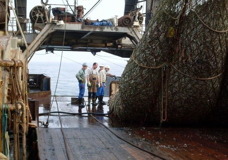 Estos pescadores encontraron algo inesperado (y muy grande) en su red de pesca
