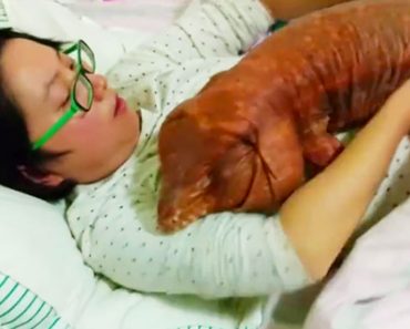 Duerme con ella en su cama cada noche y la gente se pregunta por qué no ha intentado comérsela 1 Duerme con ella en su cama cada noche y la gente se pregunta por qué no ha intentado comérsela