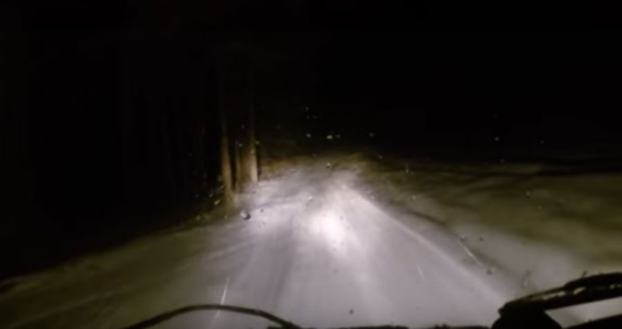Estaban conduciendo por una oscura carretera nevada cuando esta misteriosa criatura cruzó su camino
