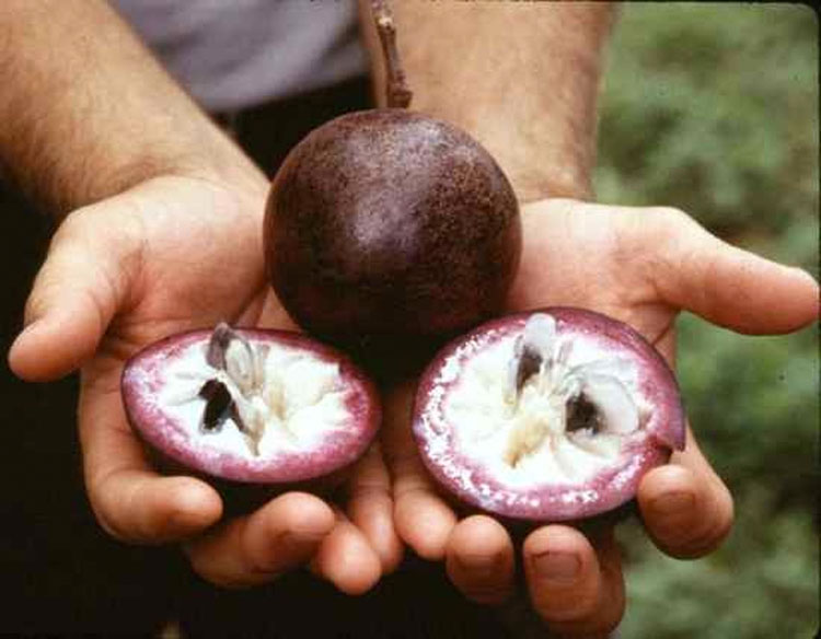 Estas 20 frutas de todo el mundo son tan extrañas que la mayoría de la gente no sabe que existen