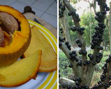 Estas 20 frutas de todo el mundo son tan extrañas que la mayoría de la gente no sabe que existen
