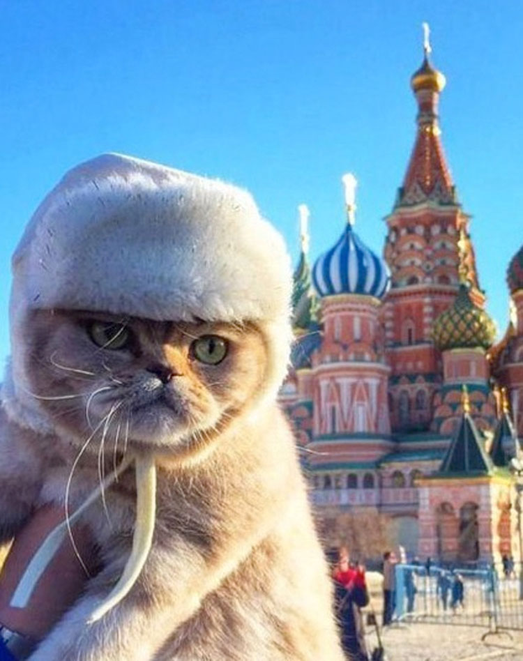 30 imágenes que te harán preguntarte: ¿Qué DEMONIOS está ocurriendo en Rusia?
