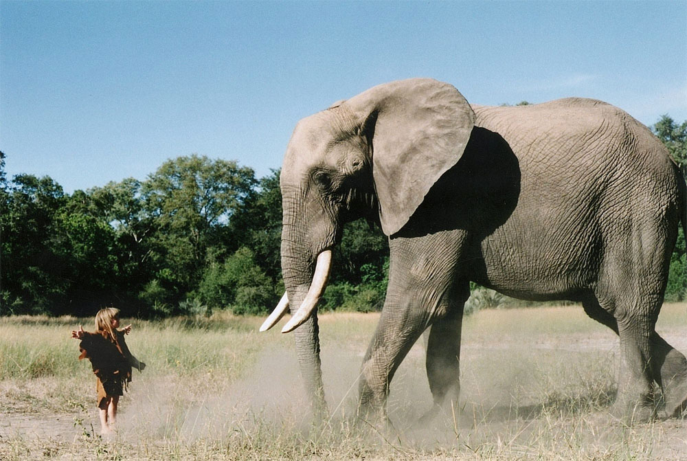 El Mowgli REAL de 'el libro de la selva' vivía en la selva de África y sus fotos son imposibles