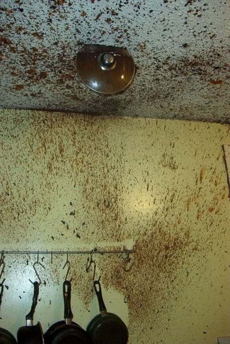 25 experimentos en la cocina que terminaron en un completo fracaso
