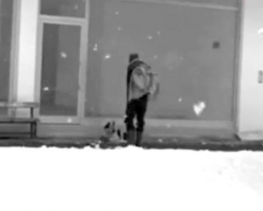 Cámara de seguridad captura a un hombre haciendo la cosa más dulce a un perro perdido durante tormenta