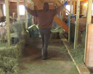 Este agricultor cree que está solo y empieza a bailar - lo que la cámara graba es impresionante