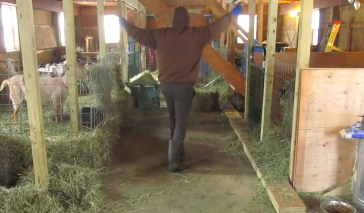 Este agricultor cree que está solo y empieza a bailar - lo que la cámara graba es impresionante