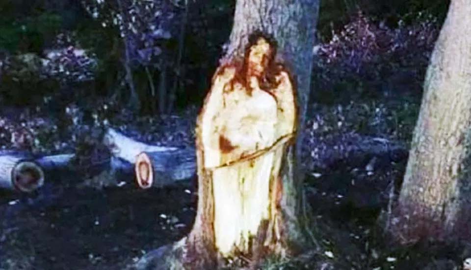 Aldeanos argentinos se quedan atónitos después de ver que la imagen de Jesús aparece en un árbol