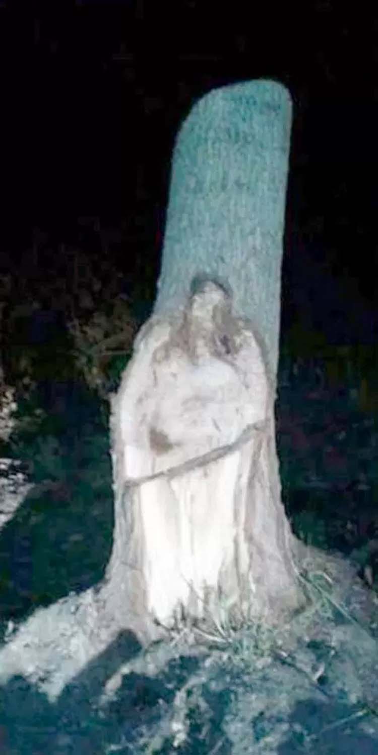 Aldeanos argentinos se quedan atónitos después de ver que la imagen de Jesús aparece en un árbol